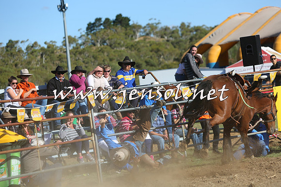 JindabyneRodeo2015_2598