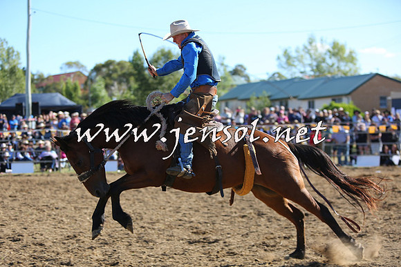 JindabyneRodeo2015_2582