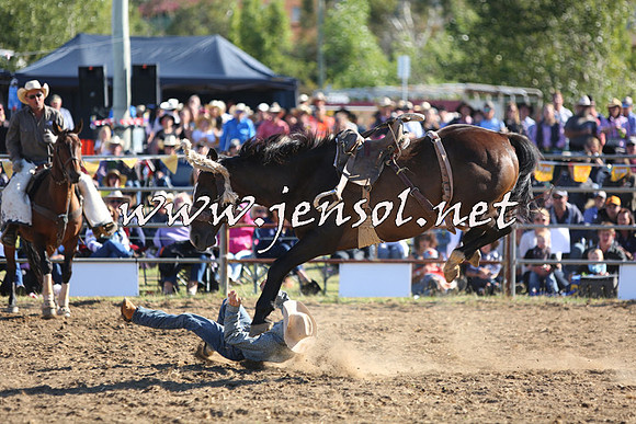 JindabyneRodeo2015_2575