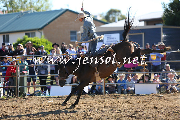JindabyneRodeo2015_2565