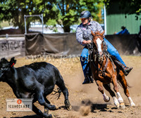 NimmitabelCampdraft2024_1437