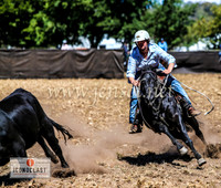 NimmitabelCampdraft2024_1429