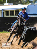 NimmitabelCampdraft2024_1280