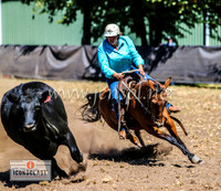 NimmitabelCampdraft2024_1324