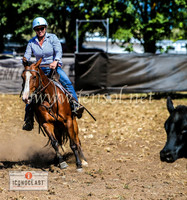 NimmitabelCampdraft2024_1470