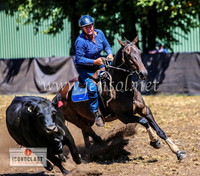 NimmitabelCampdraft2024_1291