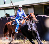 NimmitabelCampdraft2024_1384
