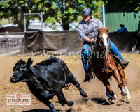 NimmitabelCampdraft2024_1436