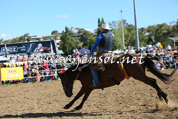 JindabyneRodeo2015_2592