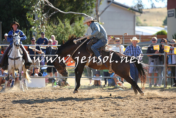 JindabyneRodeo2015_2569