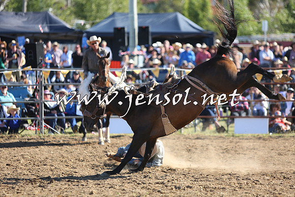 JindabyneRodeo2015_2578