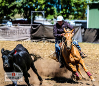NimmitabelCampdraft2024_1330