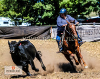 NimmitabelCampdraft2024_1226