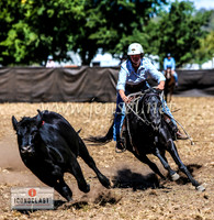 NimmitabelCampdraft2024_1430