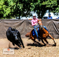 NimmitabelCampdraft2024_1398