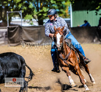 NimmitabelCampdraft2024_1441