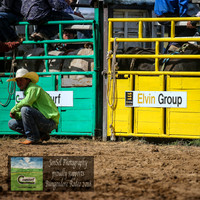 BungendoreRodeo2018-5960