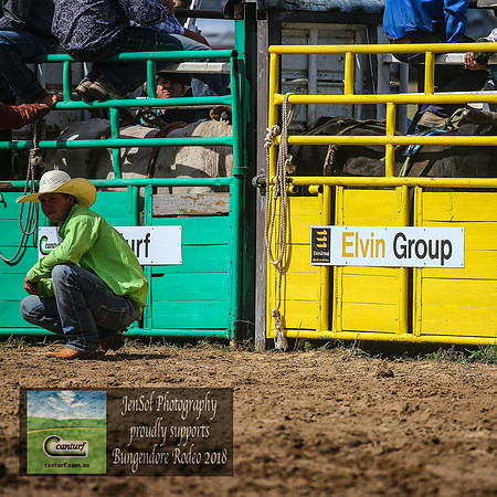 BungendoreRodeo2018-5960