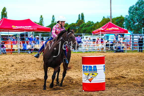 BraidwoodRodeo2017_1286
