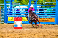 BraidwoodRodeo2017_0648