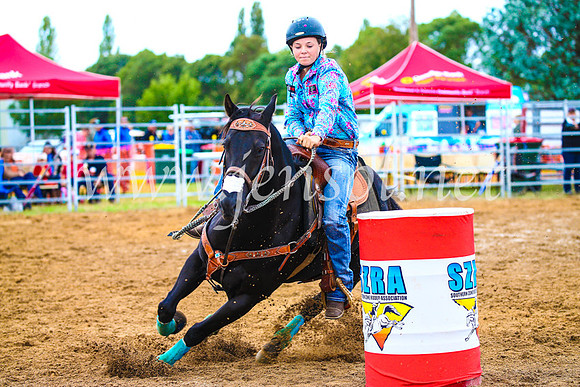 BraidwoodRodeo2017_0602