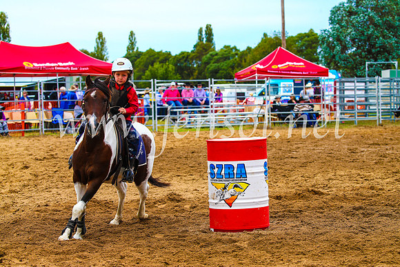 BraidwoodRodeo2017_1293