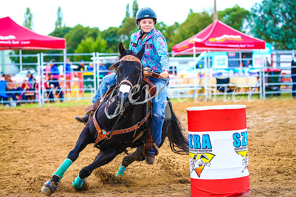 BraidwoodRodeo2017_0603