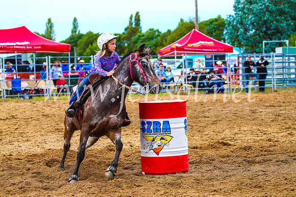BraidwoodRodeo2017_1228