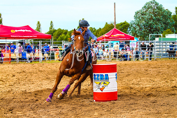 BraidwoodRodeo2017_1128