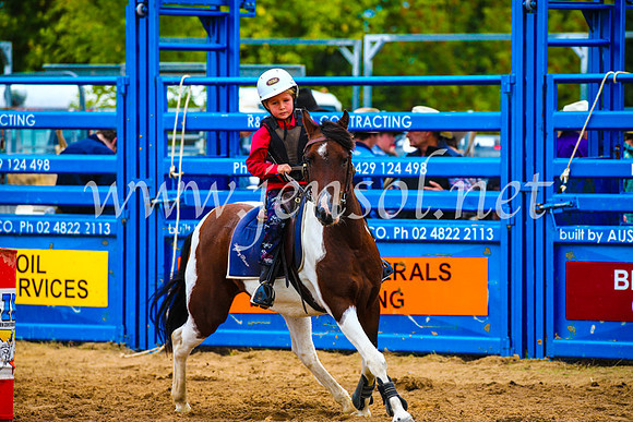 BraidwoodRodeo2017_1296