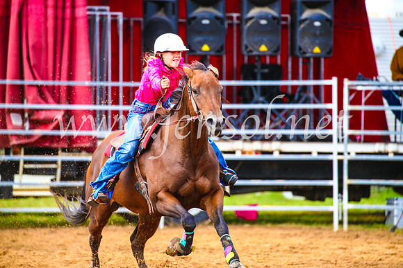 BraidwoodRodeo2017_0950