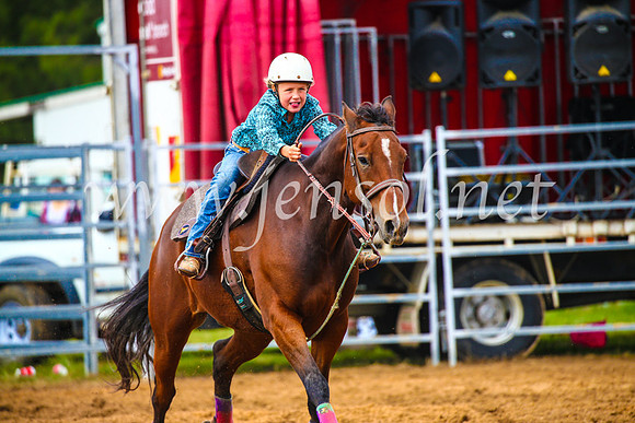 BraidwoodRodeo2017_1193
