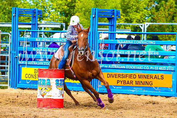 BraidwoodRodeo2017_0917