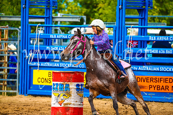 BraidwoodRodeo2017_1232