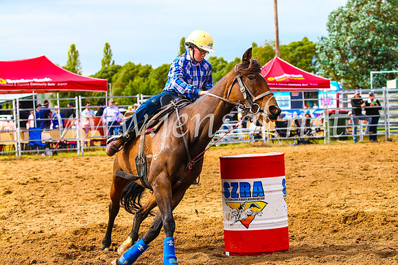 BraidwoodRodeo2017_1089