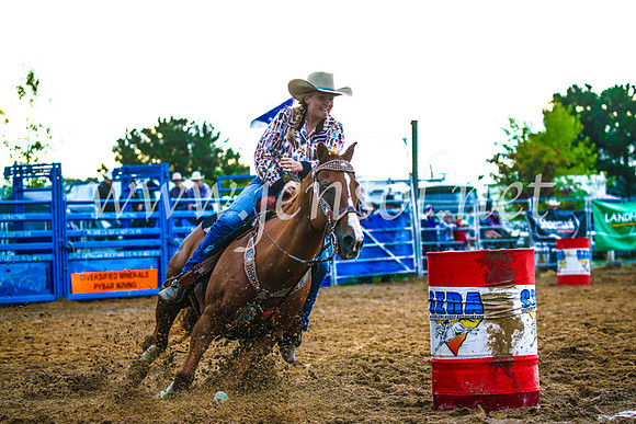 BraidwoodRodeo2017_3430