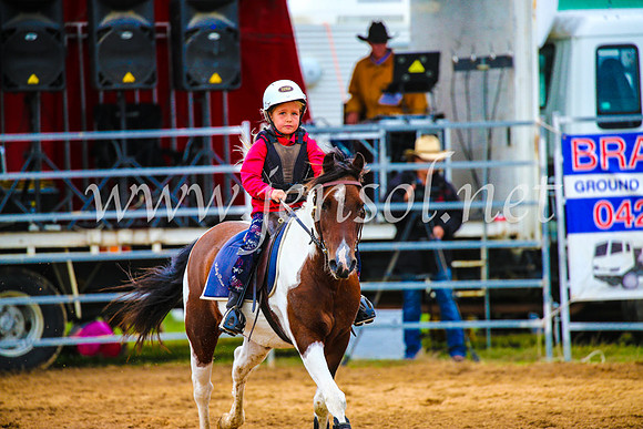 BraidwoodRodeo2017_1304