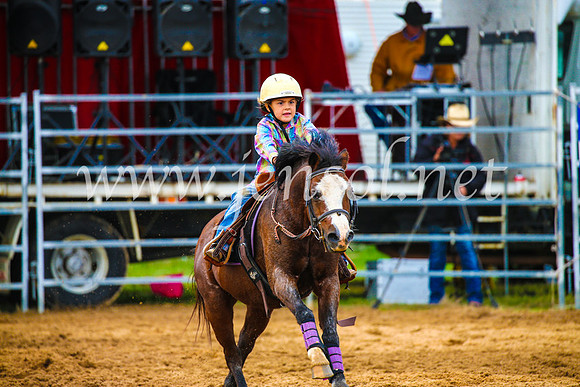 BraidwoodRodeo2017_1278