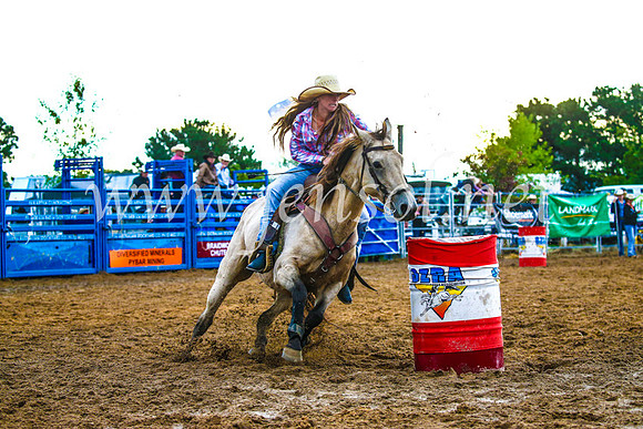 BraidwoodRodeo2017_3329