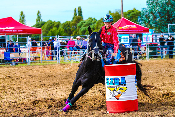 BraidwoodRodeo2017_1040