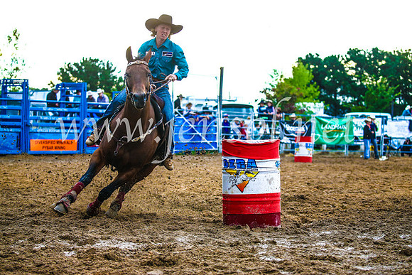BraidwoodRodeo2017_3411