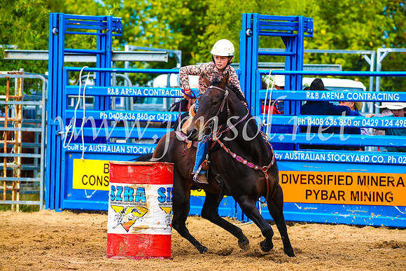 BraidwoodRodeo2017_1143