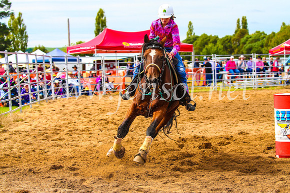 BraidwoodRodeo2017_1028