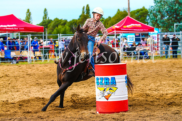 BraidwoodRodeo2017_1147
