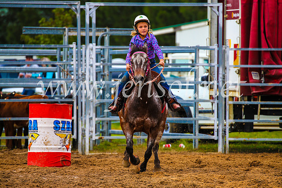 BraidwoodRodeo2017_1236