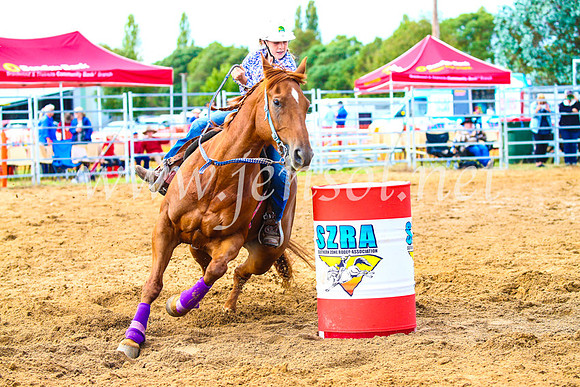 BraidwoodRodeo2017_0916