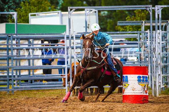 BraidwoodRodeo2017_1170