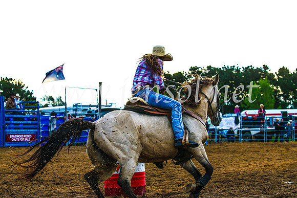 BraidwoodRodeo2017_3324