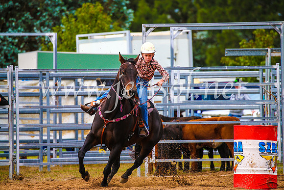 BraidwoodRodeo2017_1151