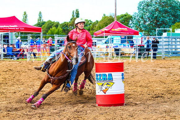 BraidwoodRodeo2017_0749